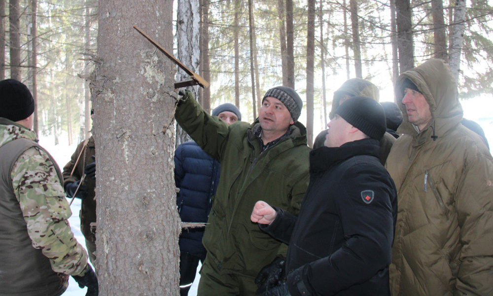 Омские лесоводы прошли обучение по таксации лесосек перед введением обязательной аттестации