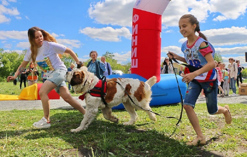 Полсотни собак покажут свои таланты: омичей приглашают на весёлый «Хвостатый забег»