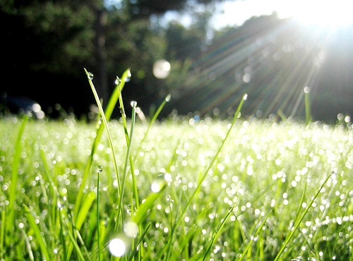 Омичей ждёт тёплое начало осени