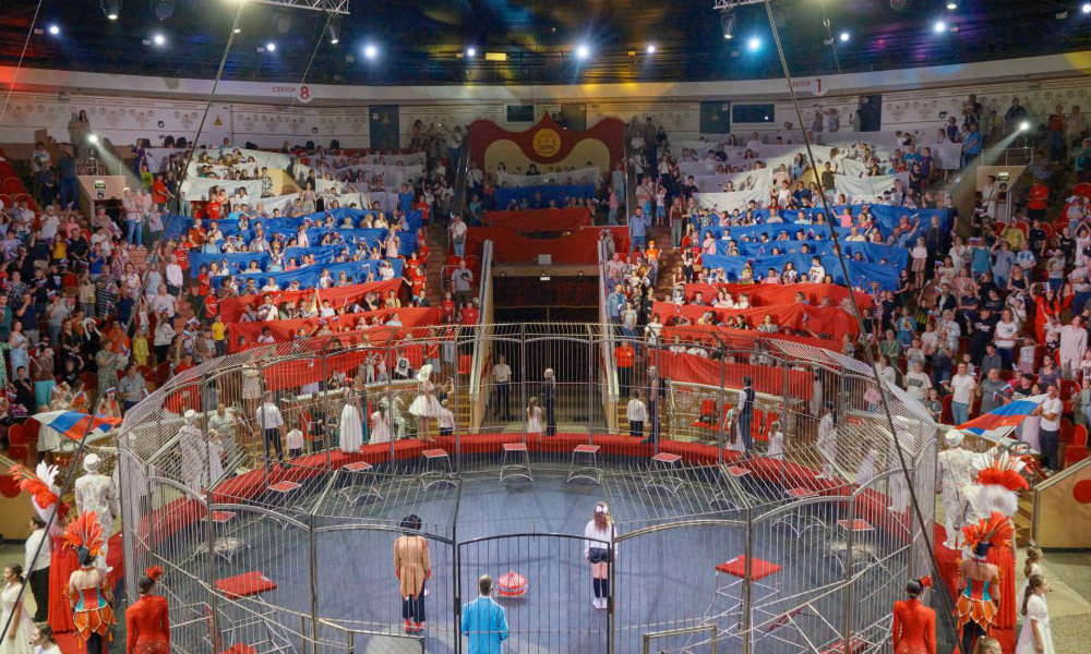 В Омском цирке установили рекорд: зрители подняли более 1500 флагов и развернули два гигантских триколора