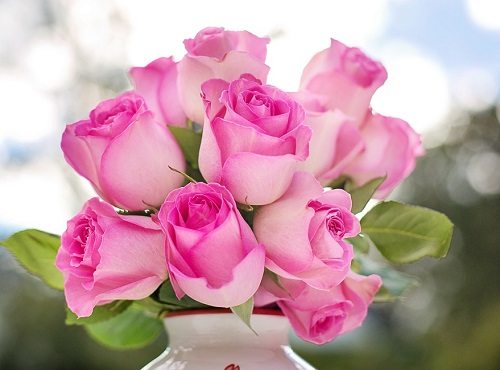 Пьяный омич украл розы, чтобы порадовать подругу