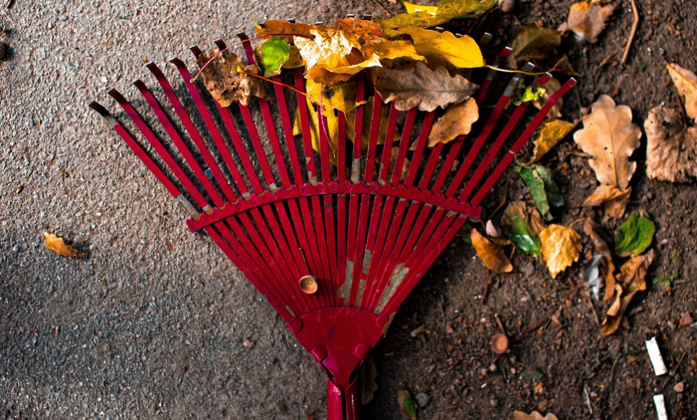 Александр Бурков и Сергей Шелест поучаствуют в общегородском субботнике 