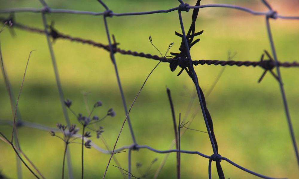 Омичам рассказали, где взять пропуск или разрешение, чтобы не получить штраф при нахождении в пограничной зоне