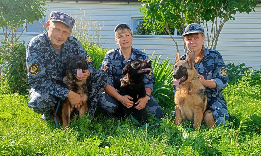 Пушистая полиция: омские щенки отправились служить в Томскую область