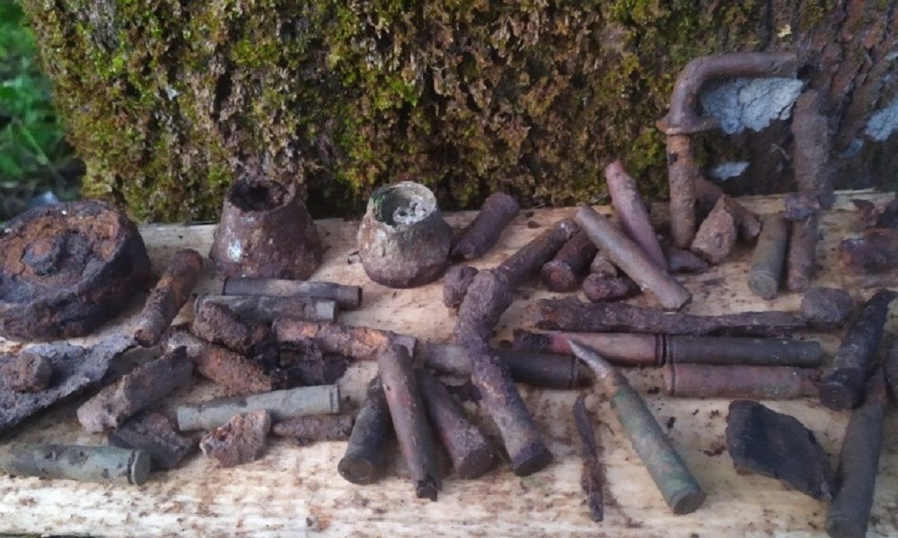 В Калужской области омский поисковый отряд нашёл патроны от винтовки Мосина 