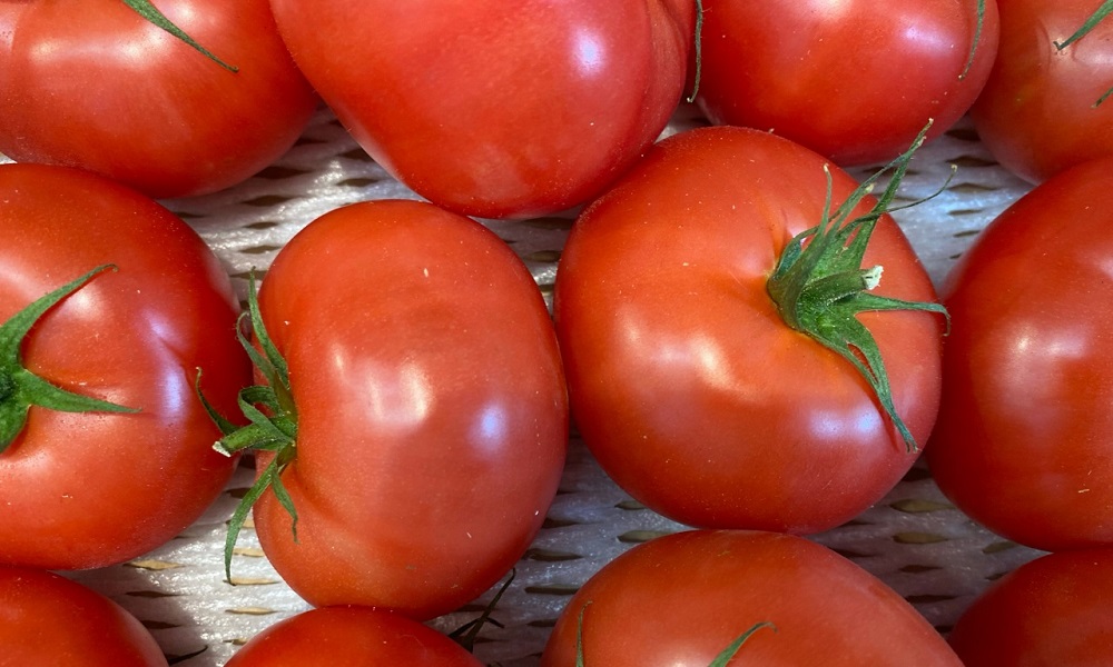 В Омскую область пытались ввезти 16 тонн томатов из Казахстана по недействительному сертификату