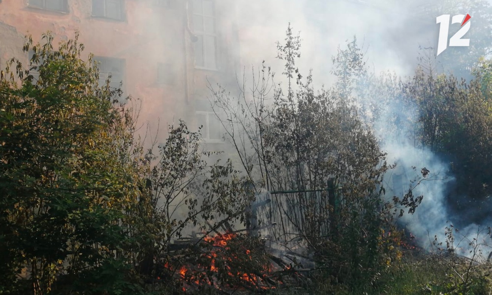 Омичам напомнили об опасности поджигания тополиного пуха