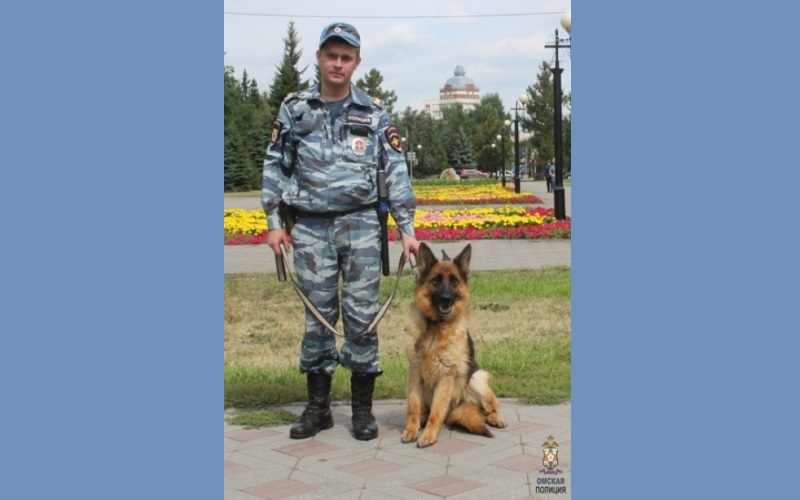 В Омске полицейская собака нашла грабителя по следу