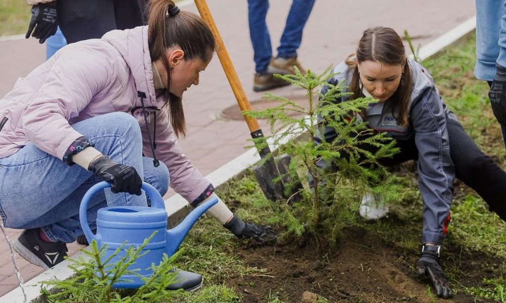 В Омской крепости высадили ещё 100 хвойных деревьев по инициативе «Полиома»