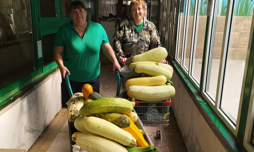 Капибары в омском зоопарке ждут угощения