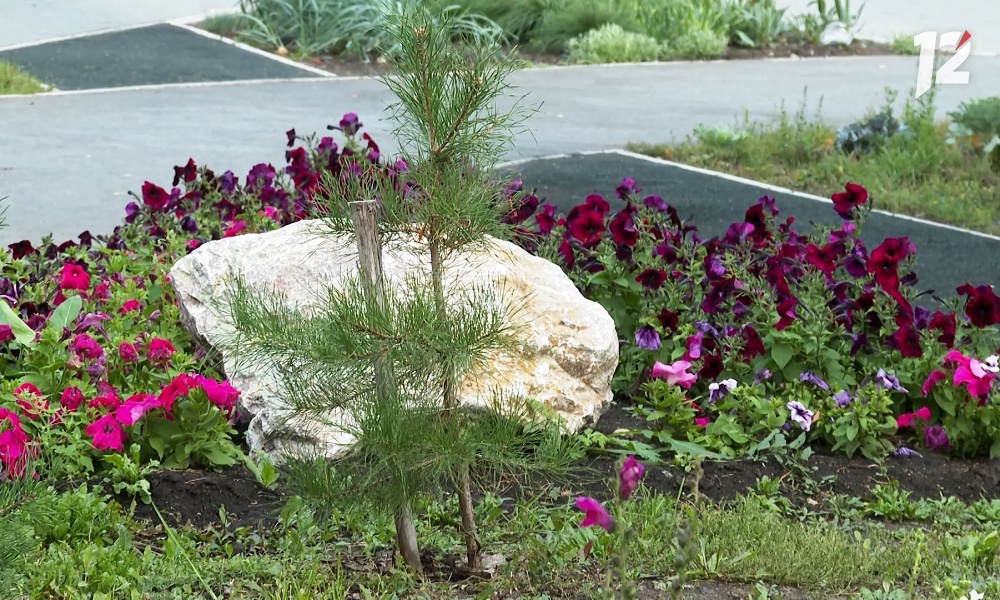 Руководить разработкой проекта омичей «Аллея Ангелов» будет главврач Клинического онкологического диспансера