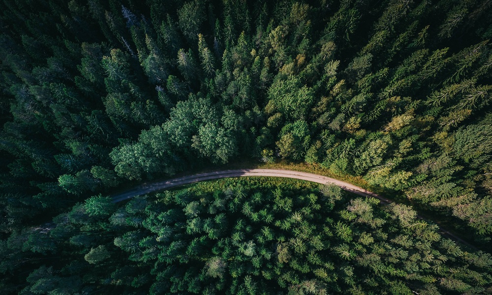Транспортный коридор Запад — Восток пройдёт через Омск