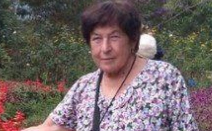 В Омске ищут добровольцев для поиска потерявшейся в лесу бабушки