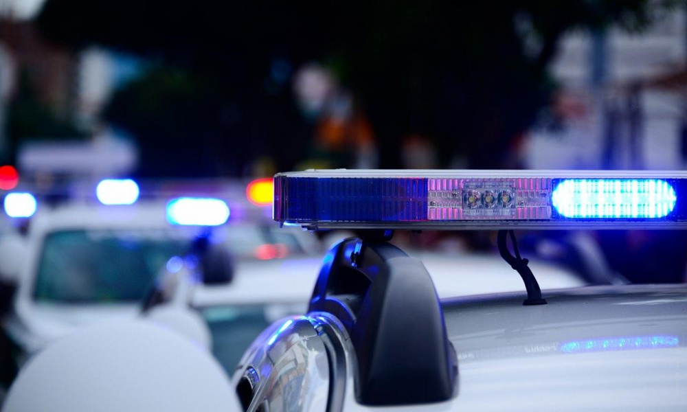 В какие заведения чаще всего выезжала омская полиция в прошлом году?