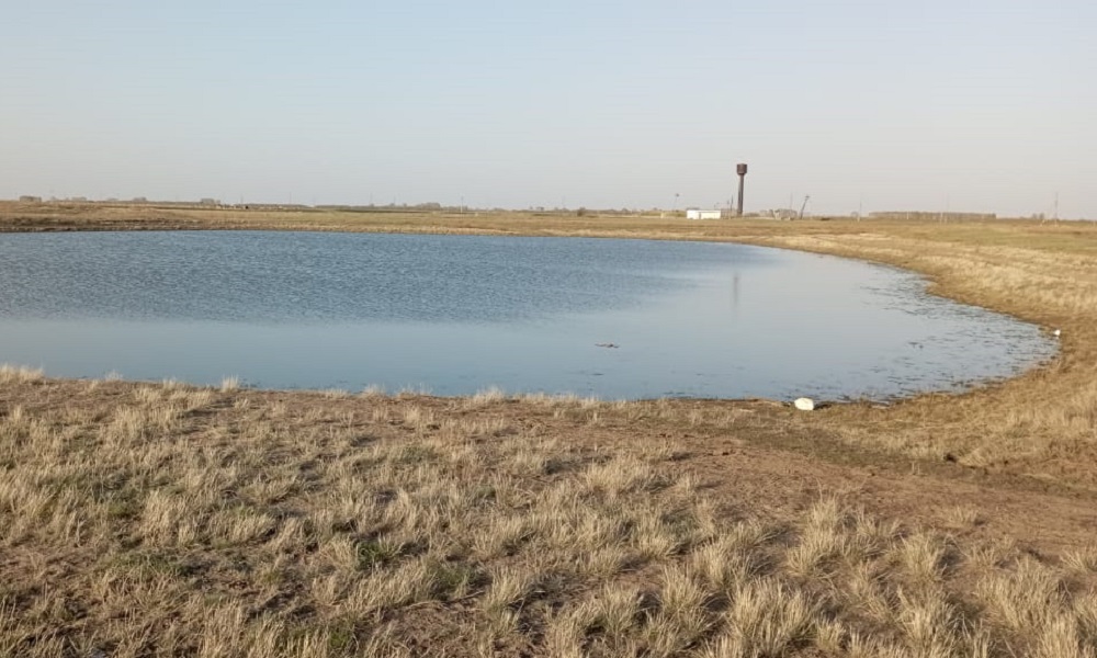 В Омской области утонул 12-летний ребёнок