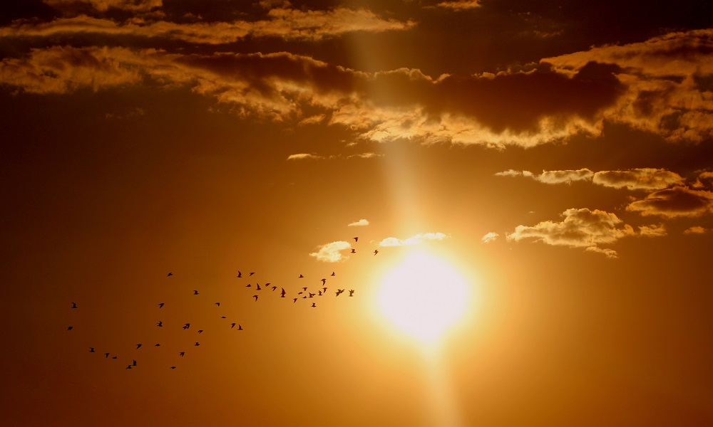 Летняя жара: к выходным в Омской области потеплеет до +30°C