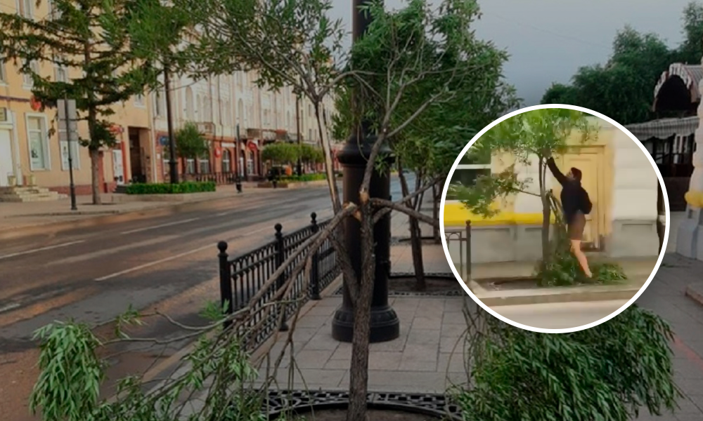 Омичка, которая летом напала на ивы на улице Ленина, заплатит больше 80 тысяч рублей