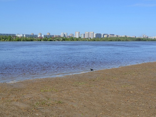 В Омске приступили к очистке береговых линий