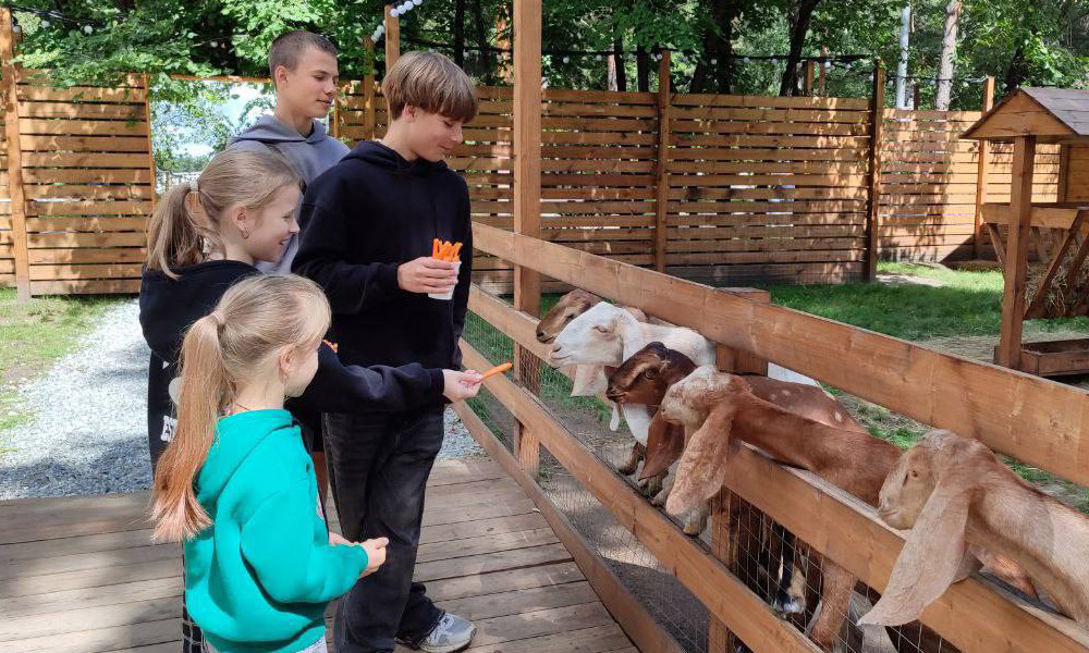 В Омске подопечные фонда «Защитники Отечества» вместе с семьёй проводят время в парке альпак