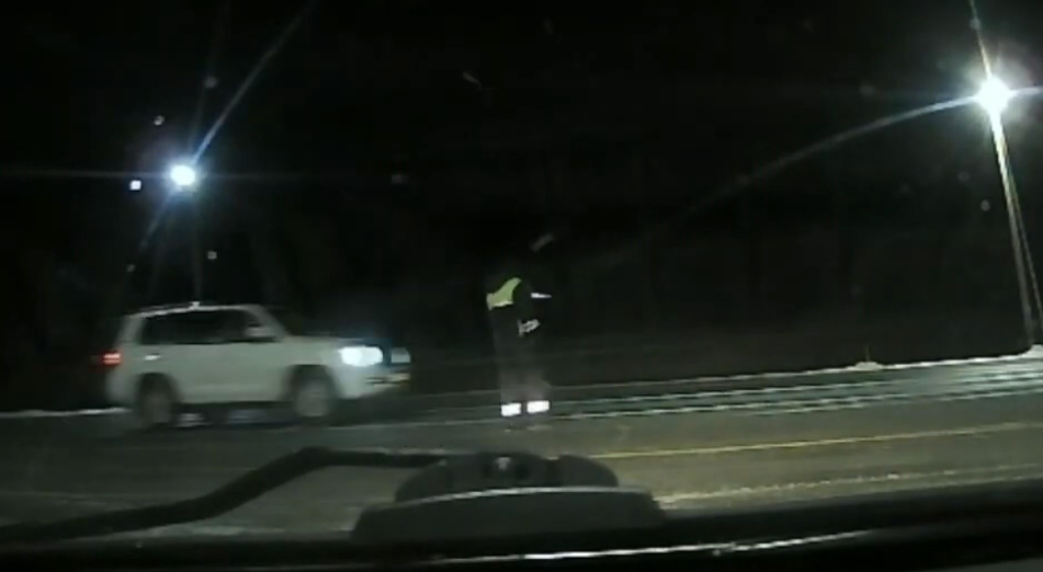 Полиции пришлось стрелять: подробности задержания омичей, которые везли девушку в зоопарк [ВИДЕО]