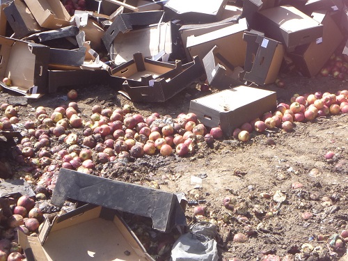 В Омской области уничтожили 40 тонн санкционной продукции