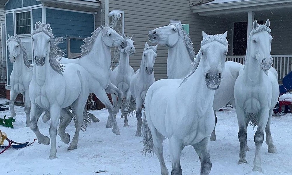 В Свердловской области местный житель превратил свой двор в волшебный снежный мир, украшенный фигурами коней