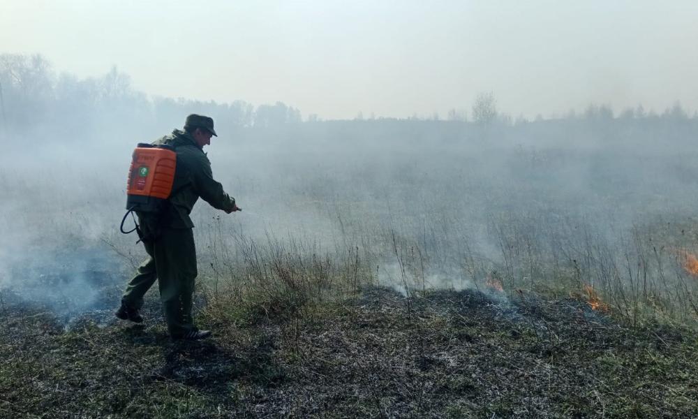 В Крутинском районе Омской области сотрудники МЧС тушат лесной пожар
