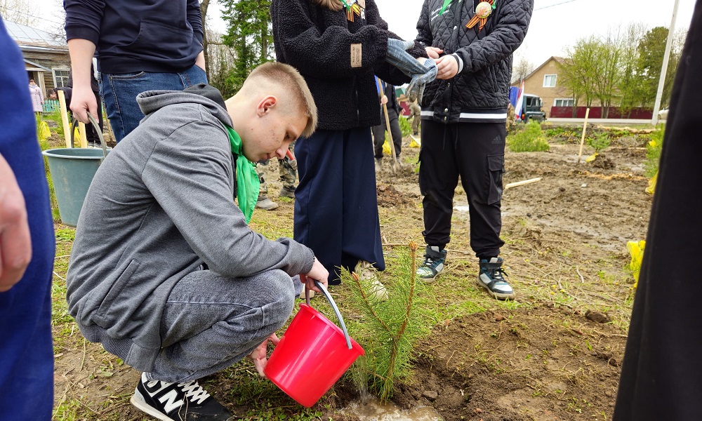 В Главном управлении лесного хозяйства объявили результаты конкурса «Деревья — хранители памяти» 