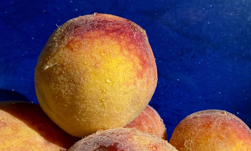 В Омскую область пытались ввезти заражённые вредителем персики и нектарины