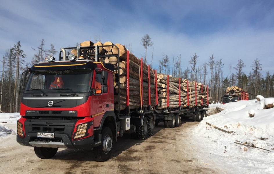 В Омской области будут судить замдиректора абаканской компании по торговле пиломатериалами