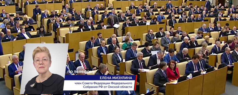 Сенатор от Омской области Елена Мизулина поддержала поправку к Конституции о детях