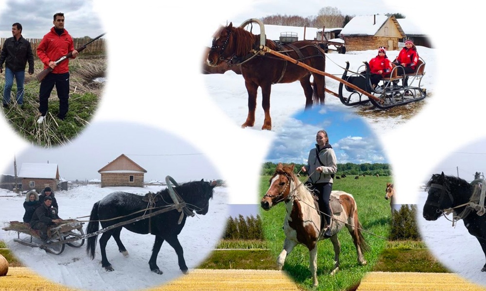 Сельхозпроизводители из Омской области получат федеральные гранты