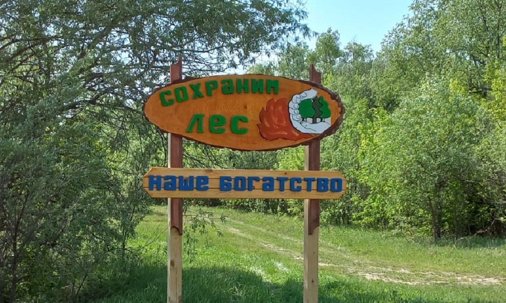 С июня в лесах Омской области не произошло ни одного пожара