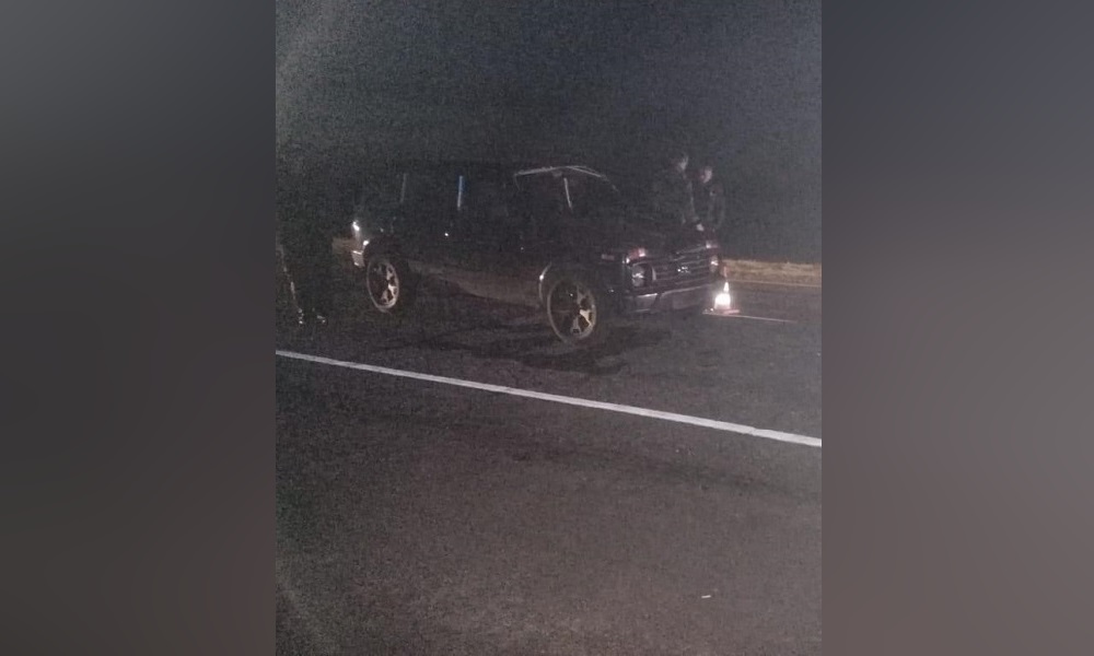 В Омской области ночью водитель «Лады» насмерть сбил мужчину