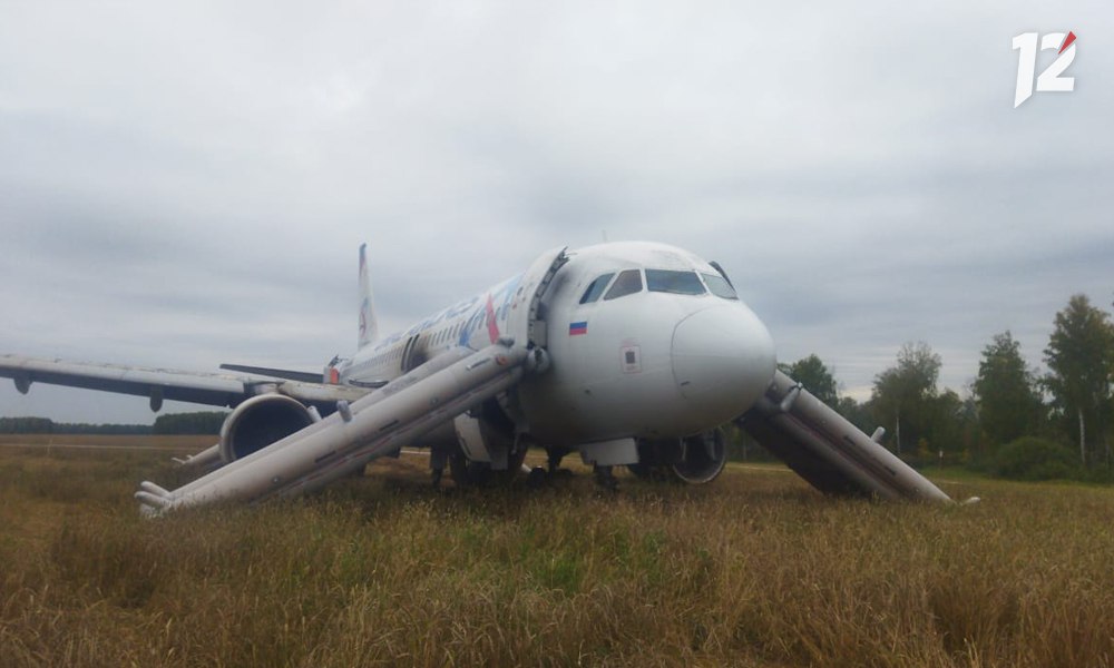 В Росавиации озвучили причину экстренной посадки самолёта, летевшего из Сочи в Омск
