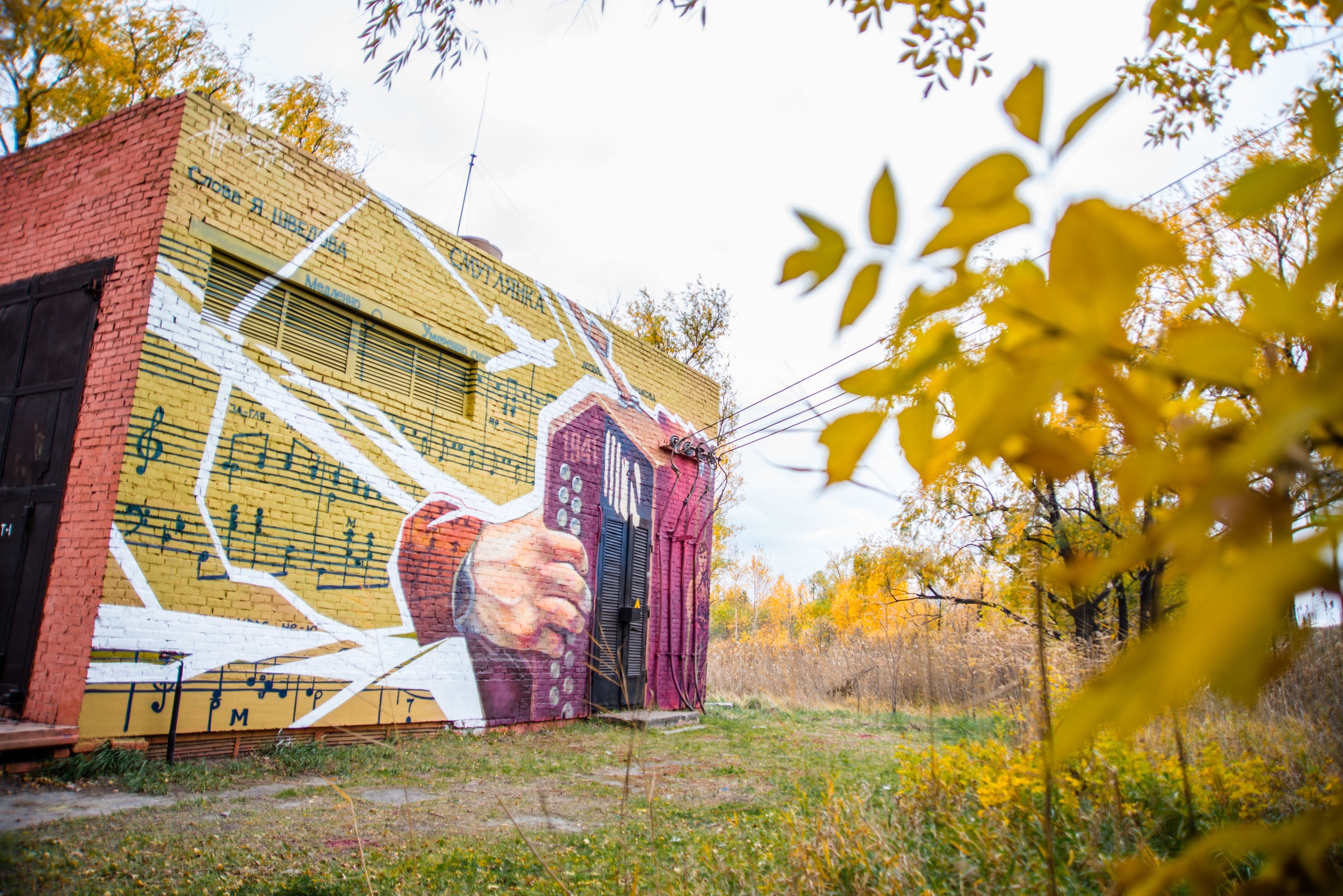 Стрит-арт, который хочется спеть: в Омске появились новые граффити [ФОТО]
