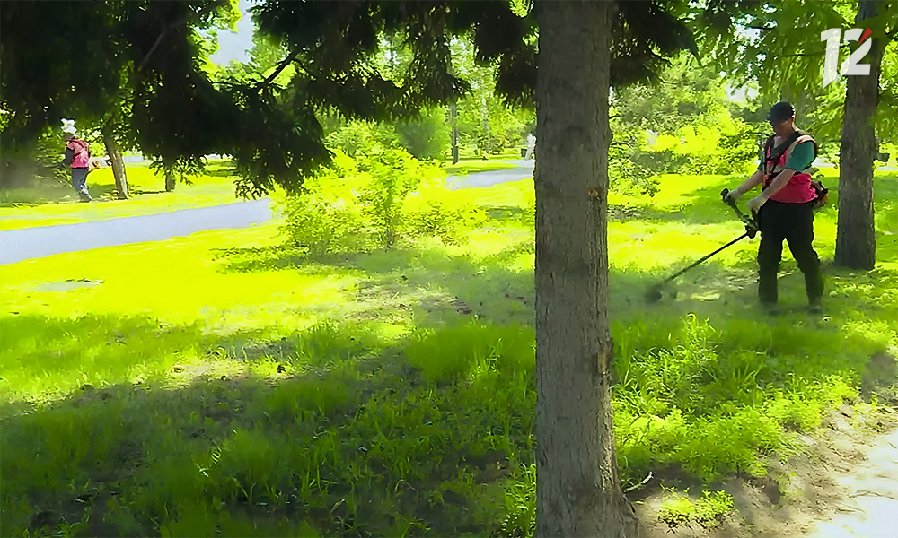 В Омске специалисты УДХБ косят траву