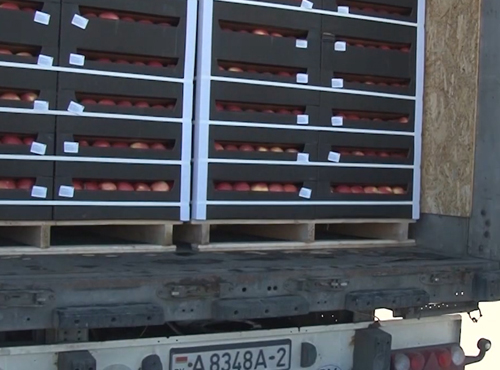 На омской границе задержали 60 тонн фруктов и орехов