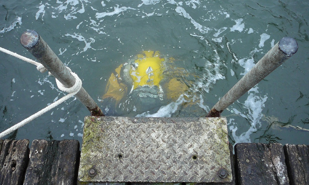 Погрузятся в ледяную воду: в парке Зелёный остров пройдут учения спасателей-подводников