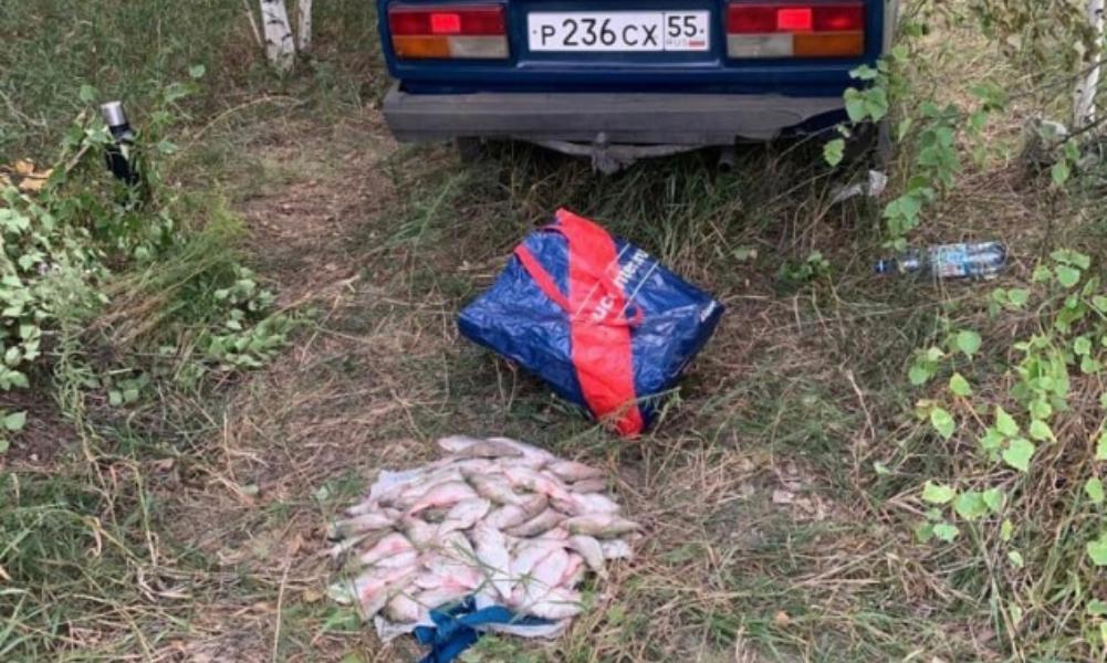 Омичу грозит крупный штраф за незаконную ловлю рыбы 