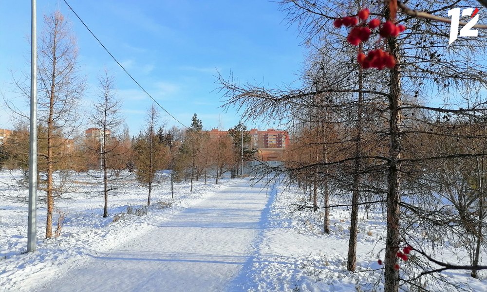 В апреле в парке им 30-летия ВЛКСМ высадят новые ели и лиственницы