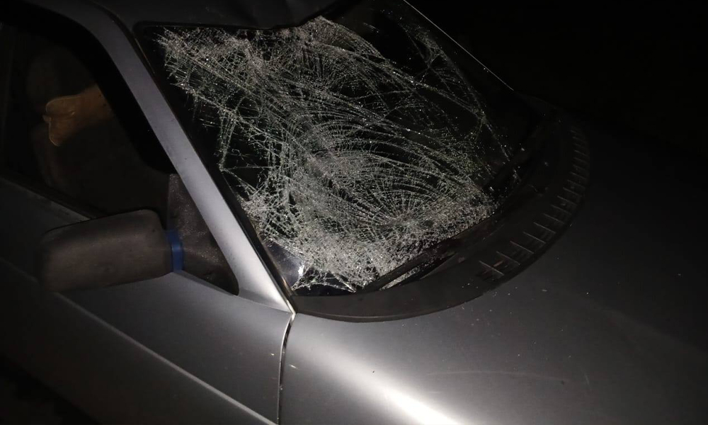 В Омской области легковушка сбила велосипедиста на автодороге Марьяновка — Шербакуль