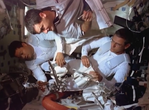 Астронавты теперь будут прямо в космосе печь печенье