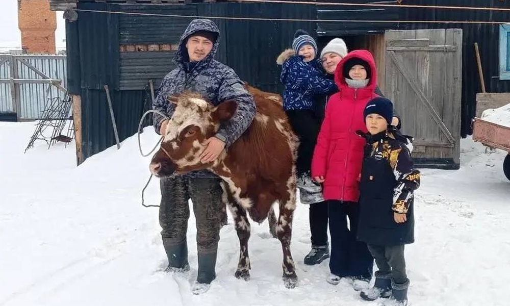 Многодетная семья из Исилькульского района развивает подсобное хозяйство по соцконтракту