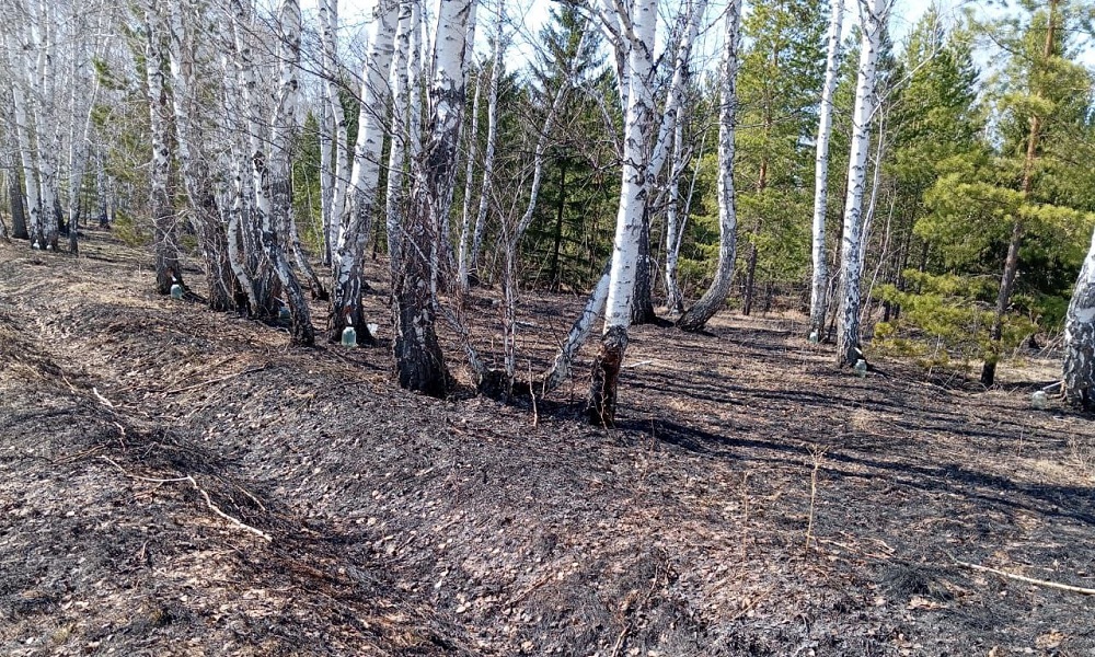 Авиаотделение участвовало в тушении пожара в Омском районе
