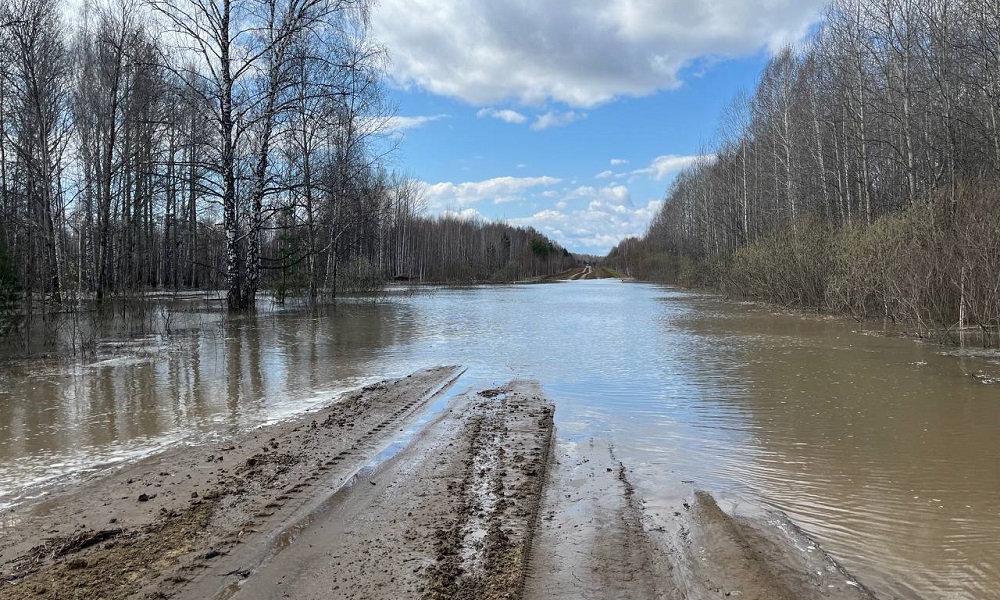 Глава Усть-Ишимского района сообщил актуальные данные по ситуации с паводком 