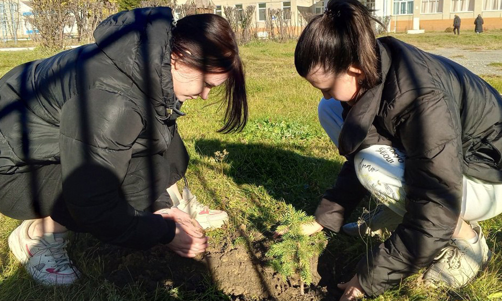 Воспитанники Петропавловского дома детства посадили голубые ели