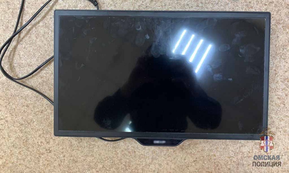 Омич украл у своей тети два телевизора, компьютер и гироскутер и сдал в ломбард