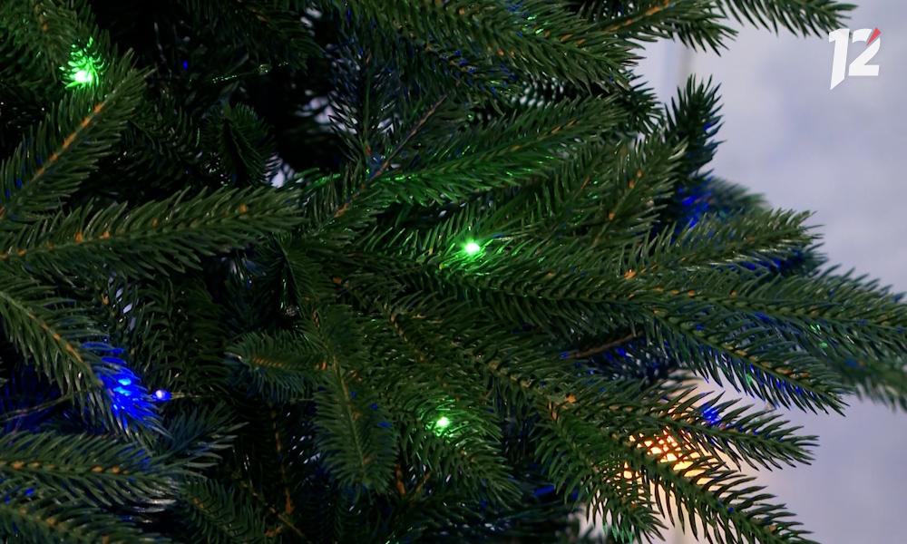 Жители Омска могут найти пункты приёма новогодних ёлок на карте Авито