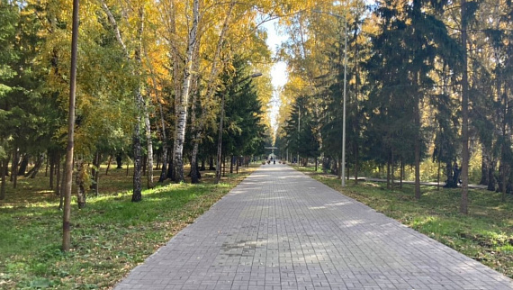 Более 15 тысяч омичей проголосовали за благоустройство микротерриторий